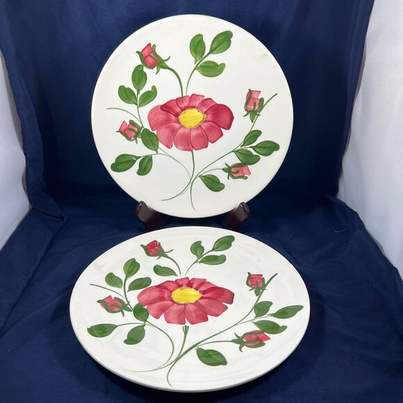 Hand-Painted Ceramic Plates With Floral Design By Southern Potteries Inc. - Picture 1 of 7